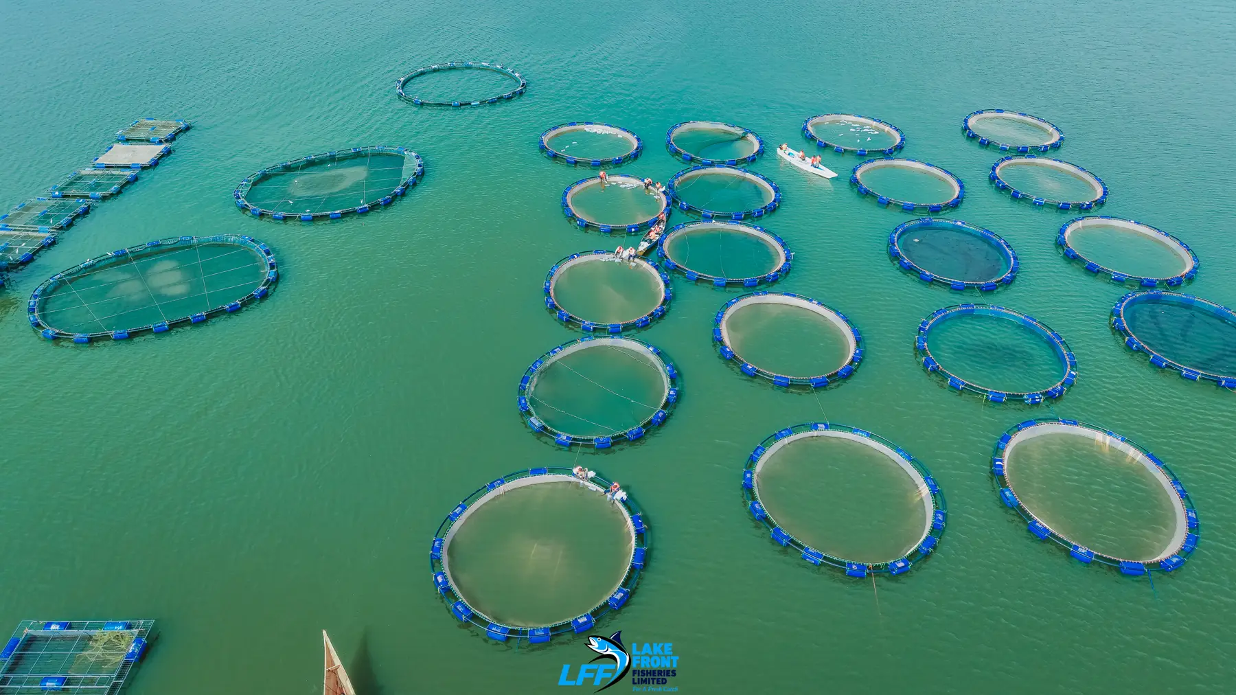 Aerial view of Lake Front Fisheries on Lake Victoria, photograph 1