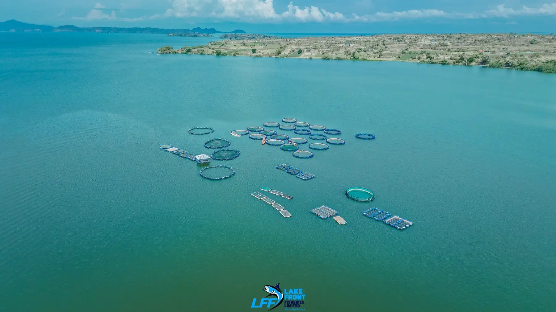 Aerial view of Lake Front Fisheries on Lake Victoria, photograph 4