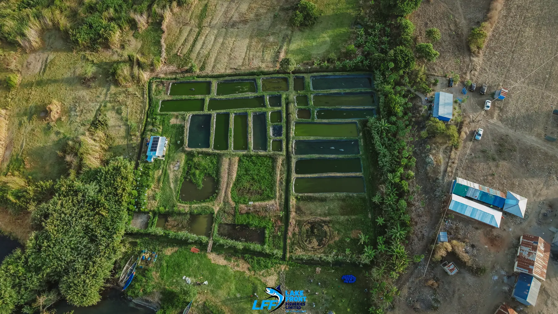 Aerial view of Lake Front Fisheries on Lake Victoria, photograph 5