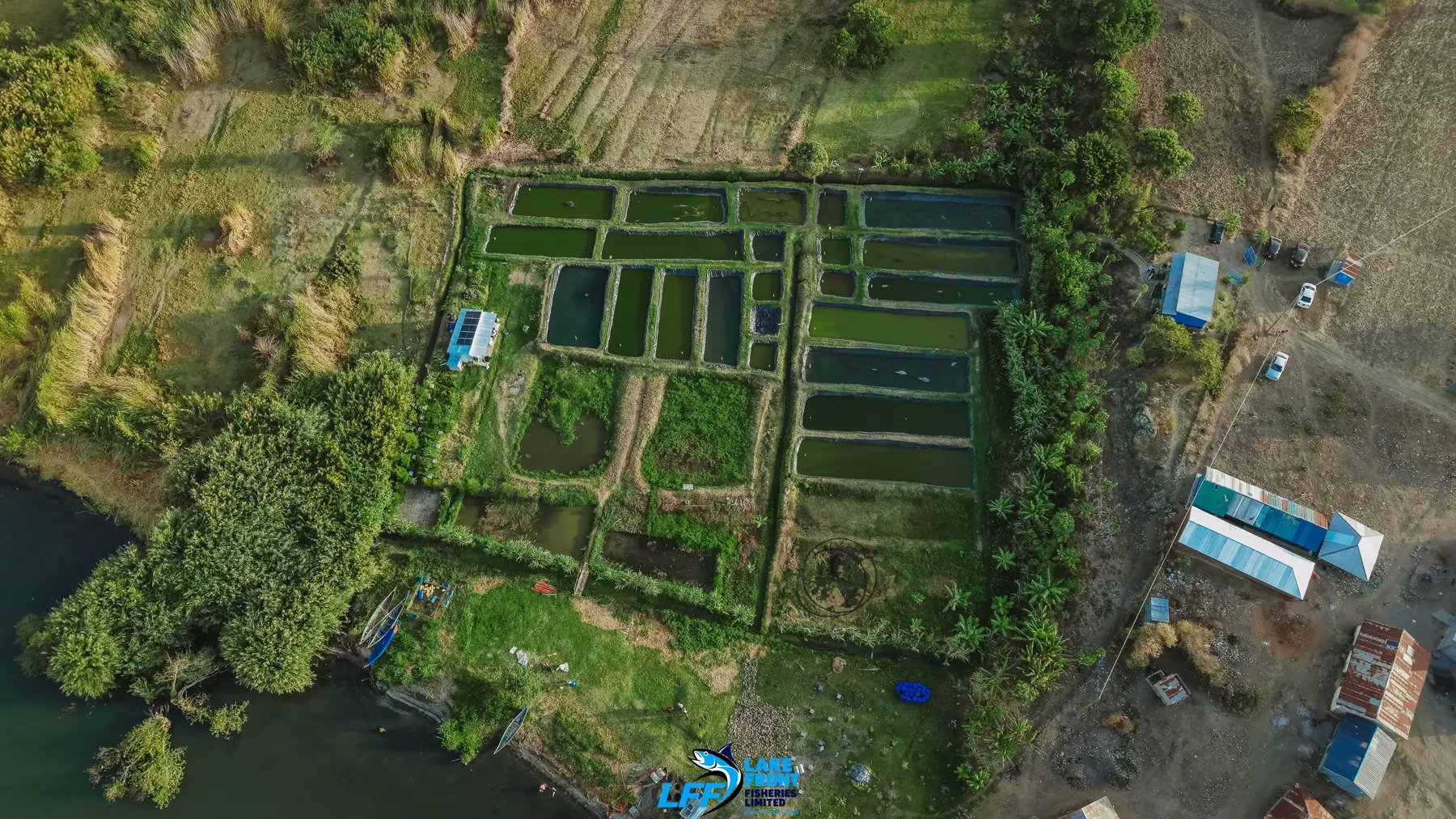 Aerial view of Lake Front Fisheries on Lake Victoria, photograph 7
