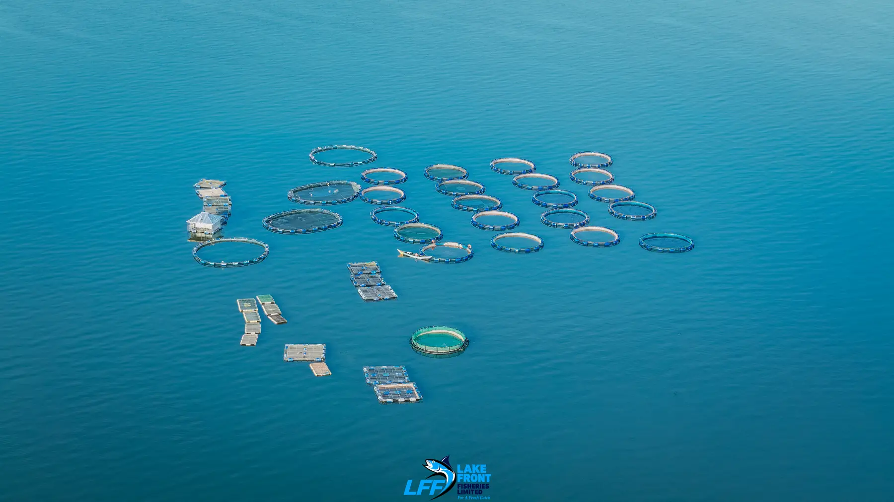 Aerial view of Lake Front Fisheries on Lake Victoria, photograph 8