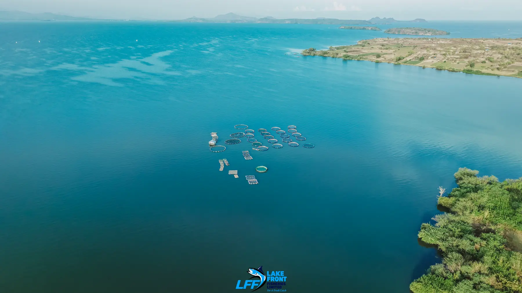 Aerial view of Lake Front Fisheries on Lake Victoria, photograph 9