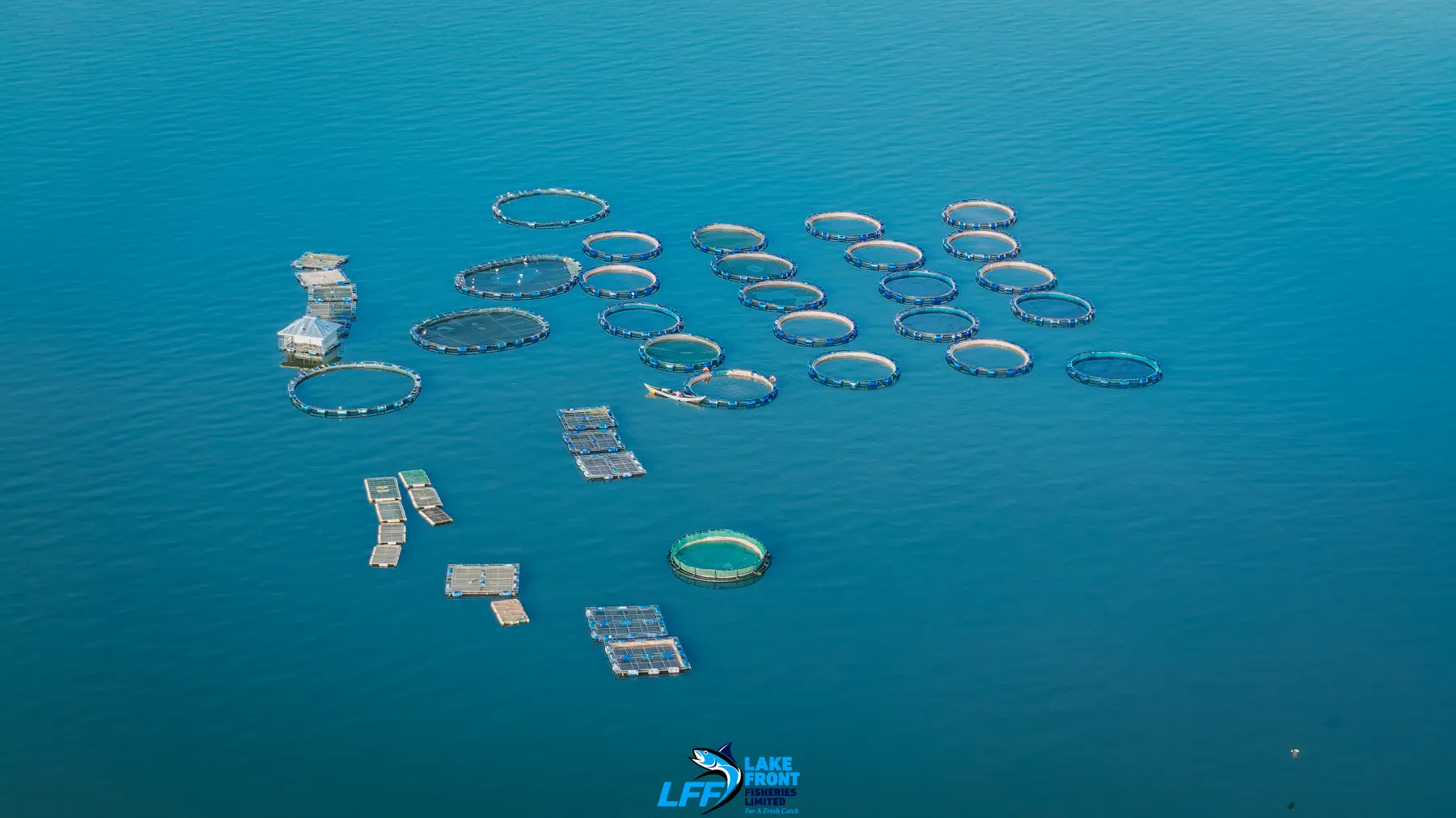 Aerial view of Lake Front Fisheries on Lake Victoria, photograph 10