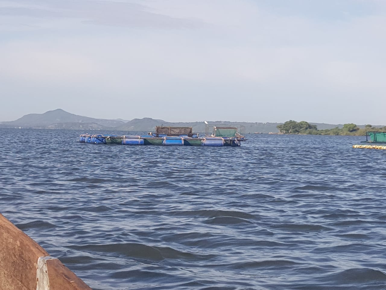 Lake Victoria Cages