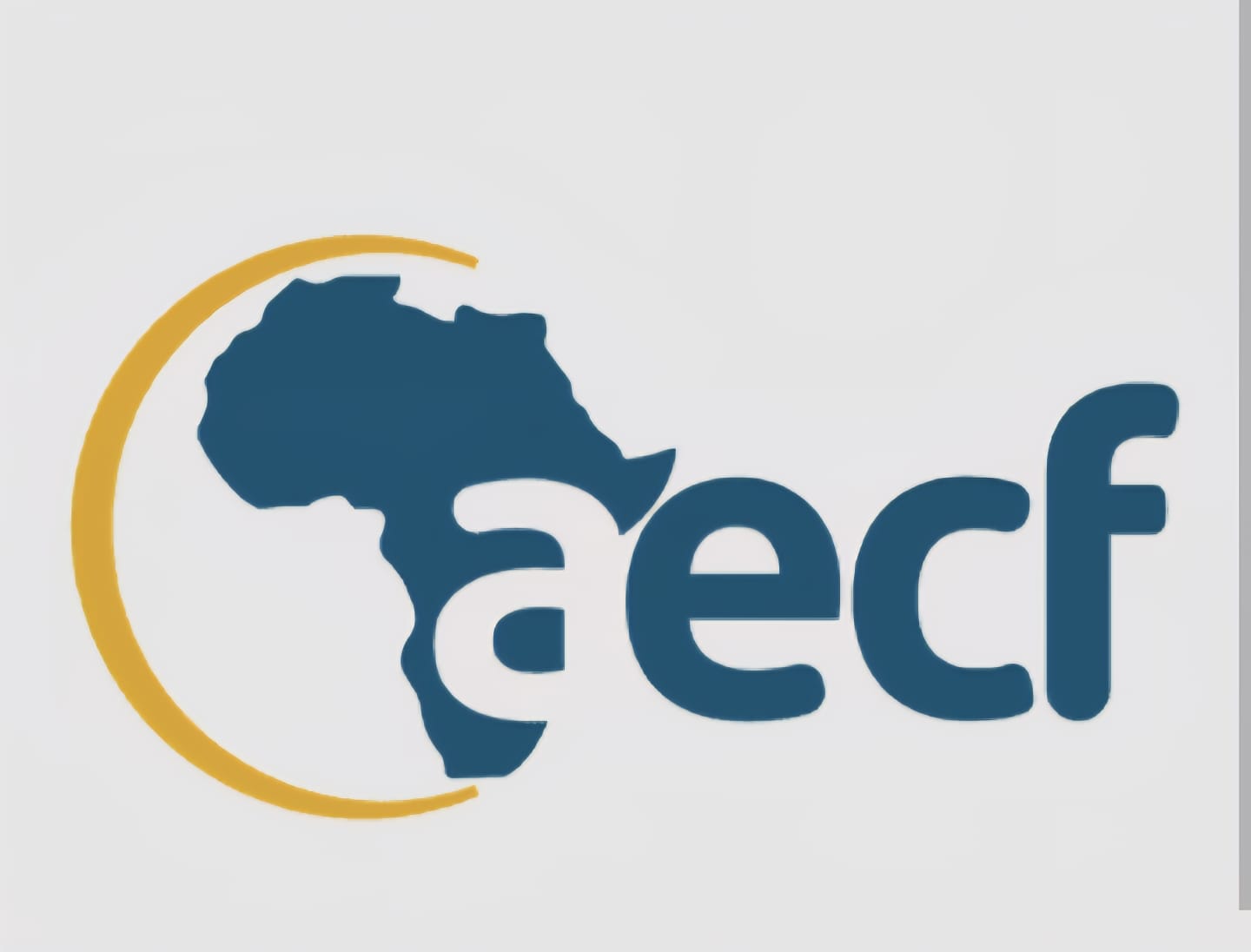 AECF partner training