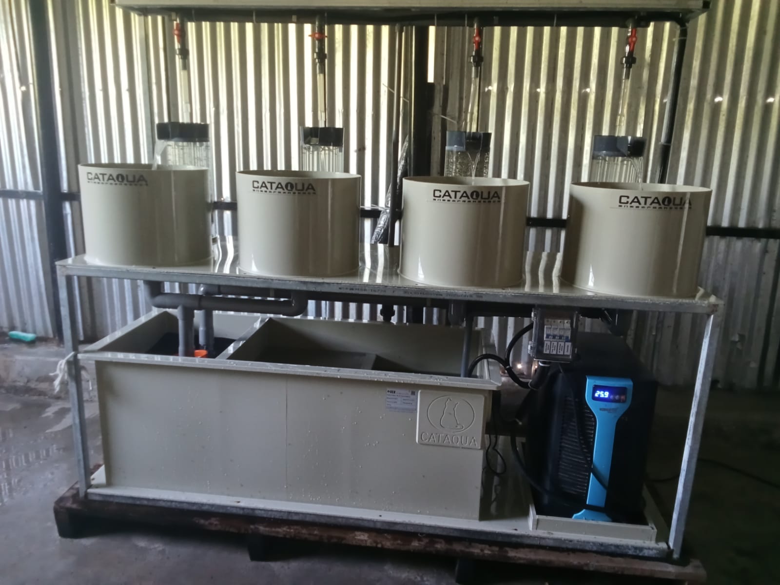RAS systems