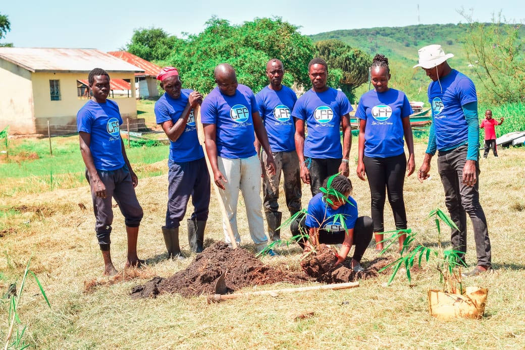 Tree planting