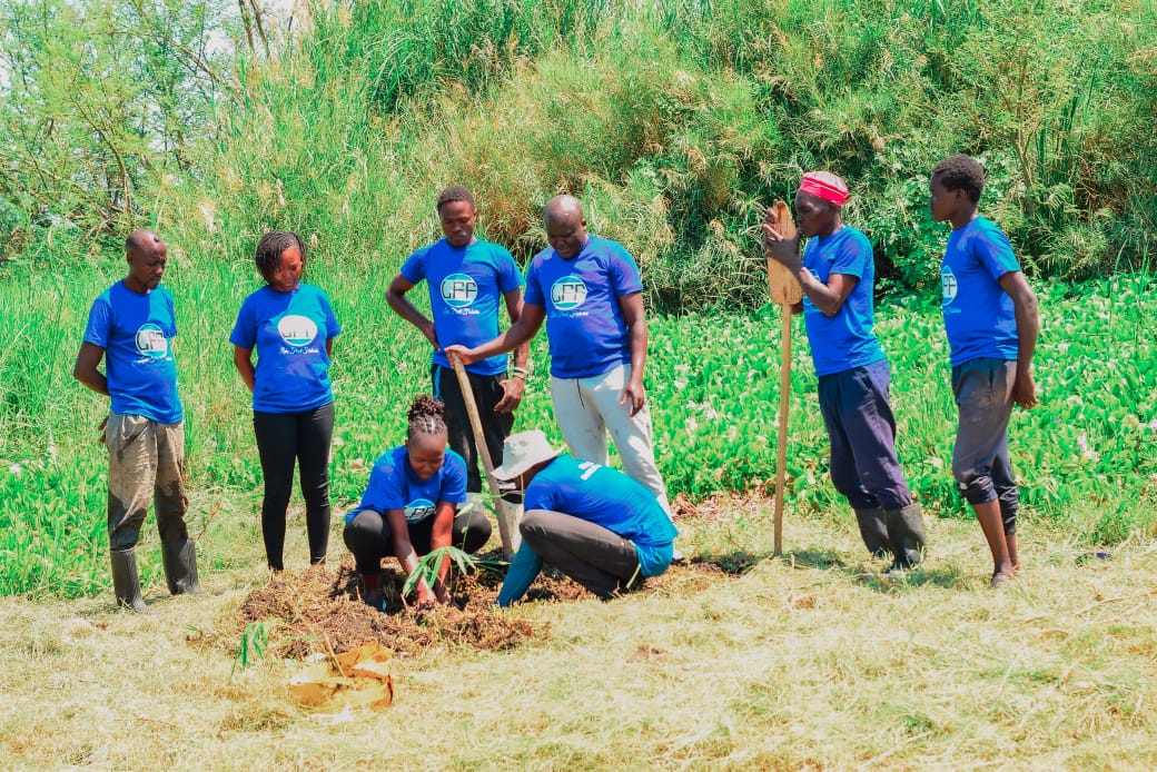 Tree Planting